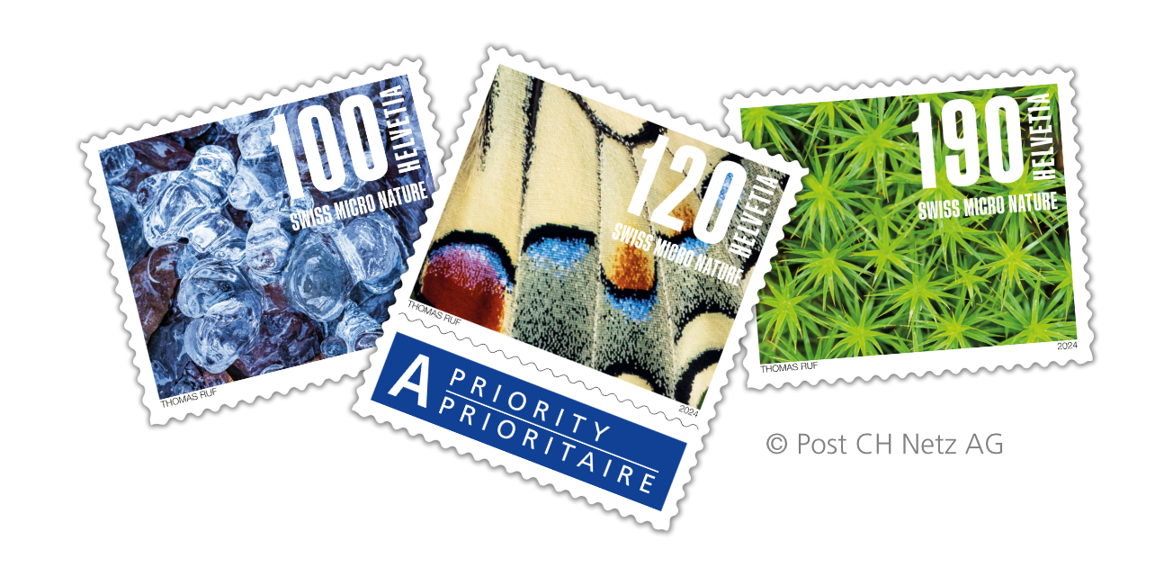 Naturbriefmarken der Schweizerischen Post – Fotografien von Thomas Ruf für die Serie «Naturmuster»